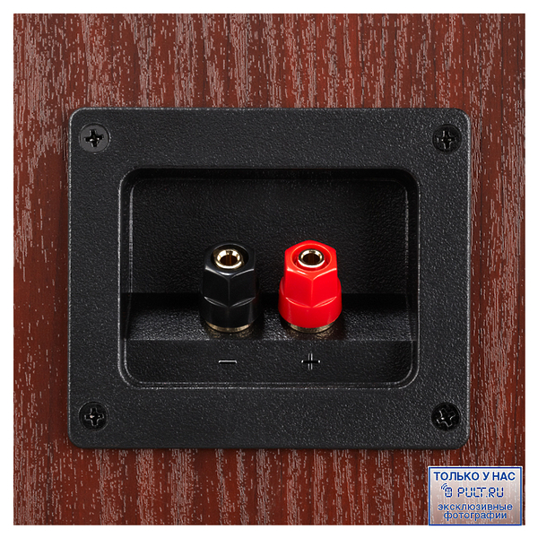 Центральный канал Polk Audio TSx 250C cherry артикул 100507Si-1 фото 3