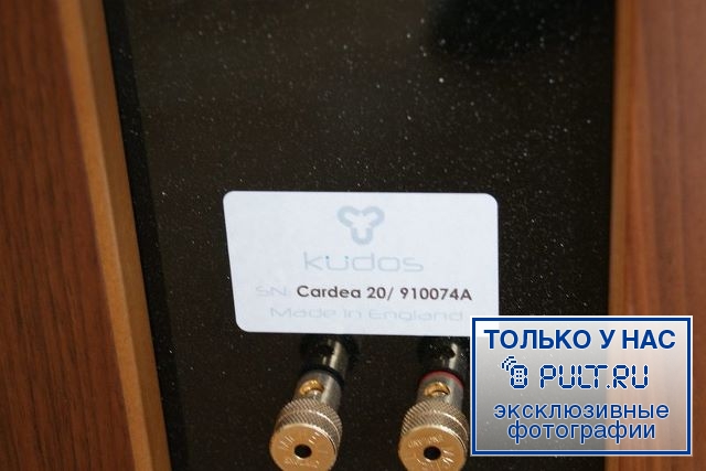 Напольная акустика Kudos Cardea C20 cherry артикул 399999FV-1 фото 10