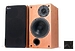 Акустическая система ProAc Studio 110 blk ash