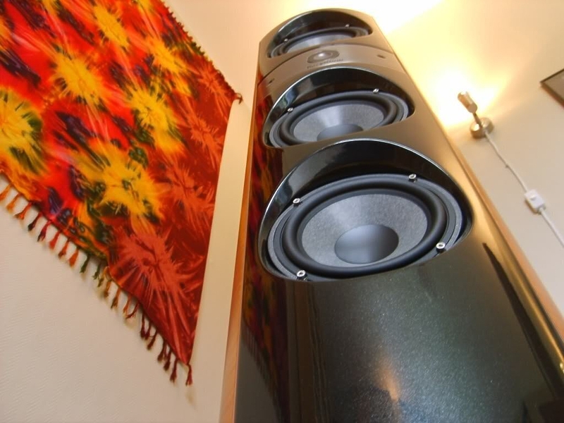 Напольная акустика Focal-JMlab Electra 1027 Be zebrano артикул 424846FV-1 фото 4