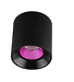 Светильник накладной Denkirs DK3090-BK+PI (Black Pink)