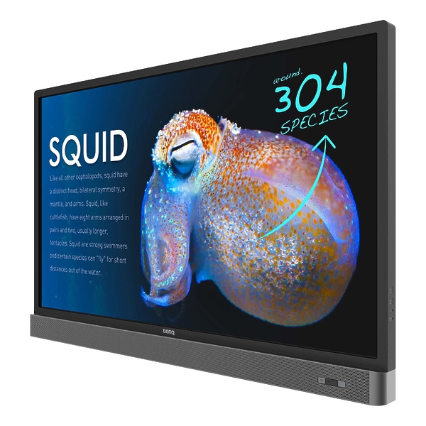 Интерактивная панель Benq RP553K артикул 182185Si-1