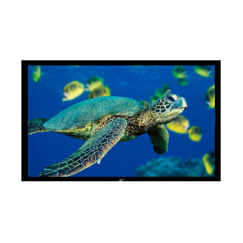 Экран Elite Screens R110WH1 артикул 065398Si-1