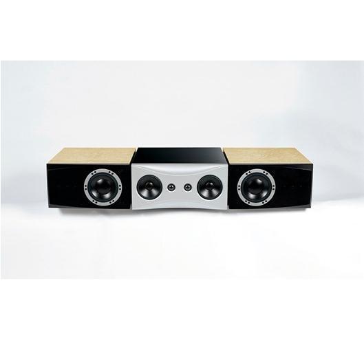 Акустическая система Dynaudio Evidence Center bird eye maple артикул 434565FV-1
