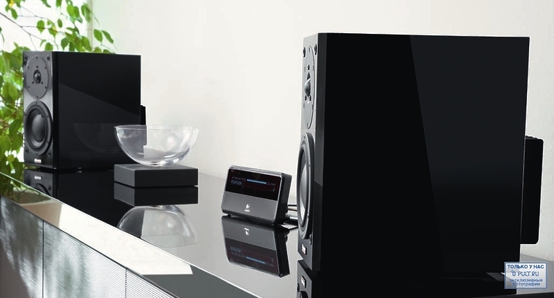 Акустическая система Dynaudio Focus 110 A rosewood артикул 443750FV-1 фото 17