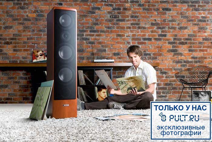 Напольная акустика Canton Ergo 695 cherry артикул 402265FV-1 фото 5