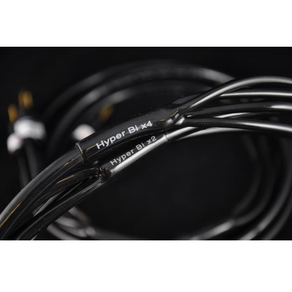 Акустический кабель Atlas Hyper Bi-Wire (4 to 4) 5.0m Transpose Spade Gold артикул 147486Si-1