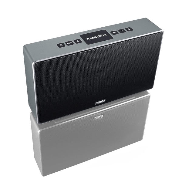 Canton Musicbox S titan #3 в «HiFiRussia»