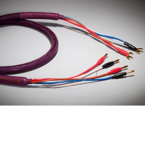 Акустический кабель Tchernov Cable Classic Bi-Wire Mk II SC Sp/Bn 3.10m артикул 110306Si-1