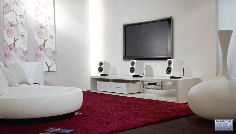 Акустическая система Dynaudio Focus 110 A rosewood артикул 443750FV-1 фото 11