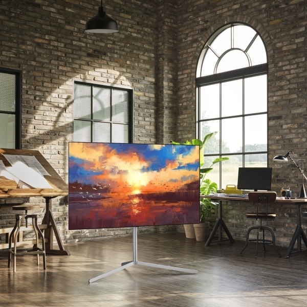 OLED телевизор LG OLED65A1RLA артикул 247651Si-1 фото 10