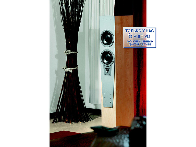 Напольная акустика Dynaudio Contour S3.4 rosewood артикул 398420FV-1 фото 11