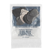Медиаторы Dunlop 46RF051 Stainless Steel Standard (36 шт)