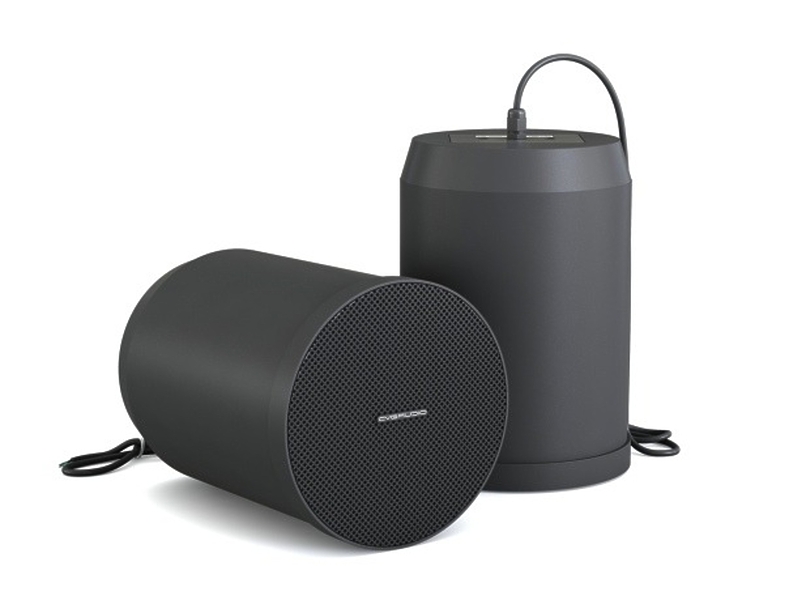 Подвесной громкоговоритель CVGaudio SPC6T BL артикул 309427Si-1