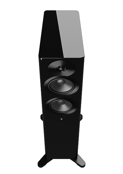 Напольная акустика Dynaudio Focus 30 Black High Gloss артикул 310325Si-1 фото 6