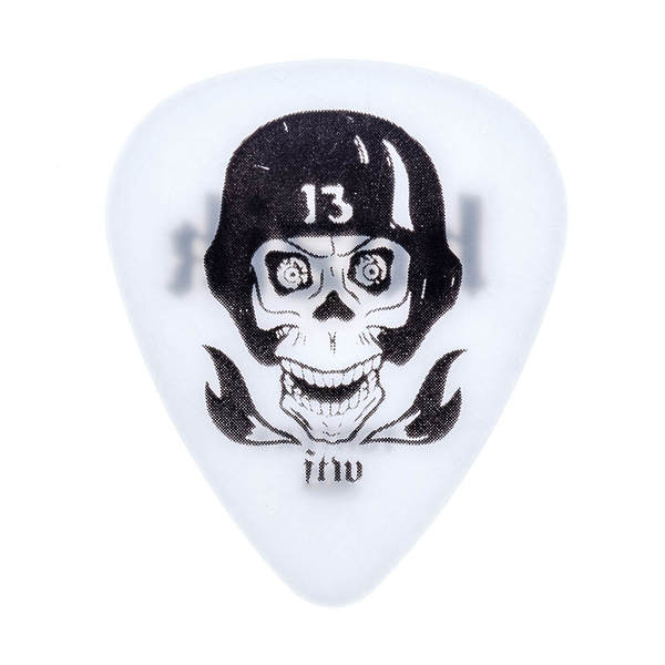 Медиаторы Dunlop BL46R073 Frank Kozik FTW Skull (36 шт) артикул 332424Si-1