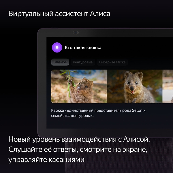 Станция Яндекс Дуо Макс Red артикул 309800Si-1 фото 12