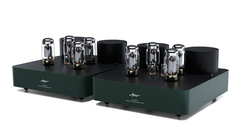 Ламповый усилитель мощности Fezz Audio Olympia Power Amplifier EVO Evergreen артикул 334085Si-1 фото 3