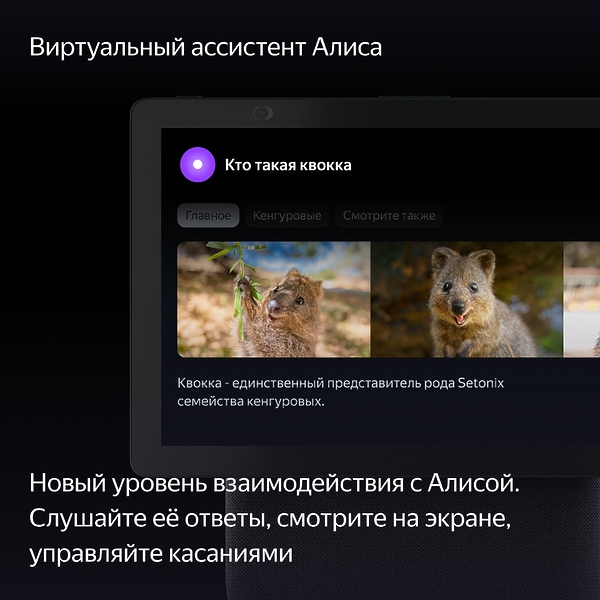Станция Яндекс Дуо Макс Green артикул 309802Si-1 фото 15