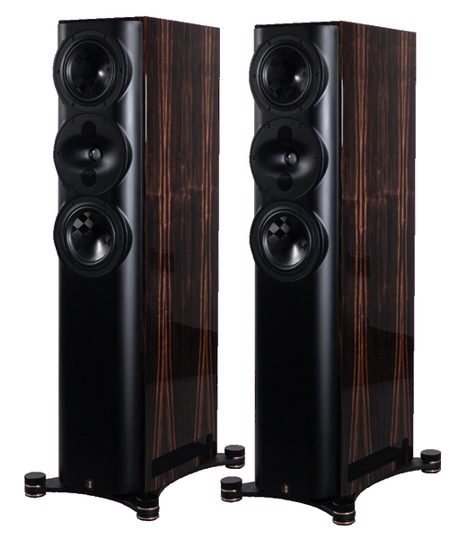 Напольная акустика Perlisten Audio S5t Ebony High Gloss артикул 327748Si-1