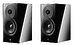 Полочная акустика Dynaudio Focus 10 Black High Gloss
