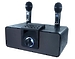 Портативная колонка Ritmix SP-660B black