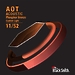 Струны для акустической гитары BlackSmith AOT Acoustic Phosphor Bronze Custom Light 11/52