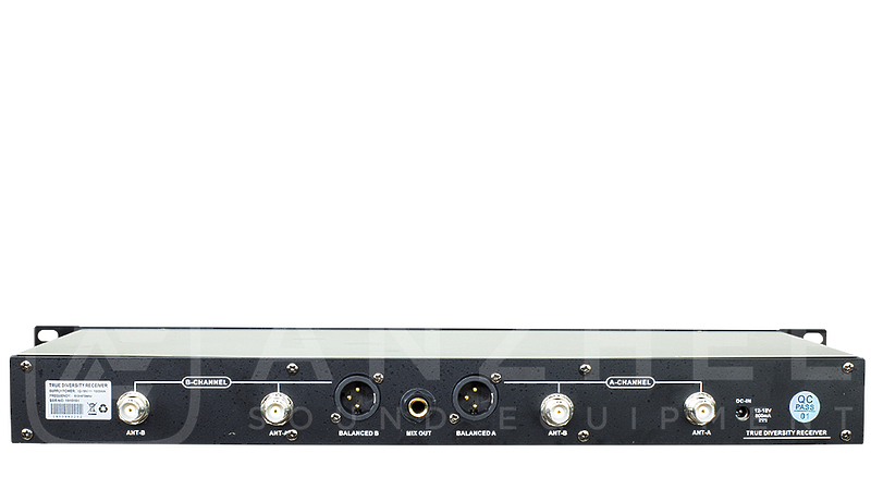 Радиосистема Anzhee RS500 dual HH артикул 314103Si-1 фото 3