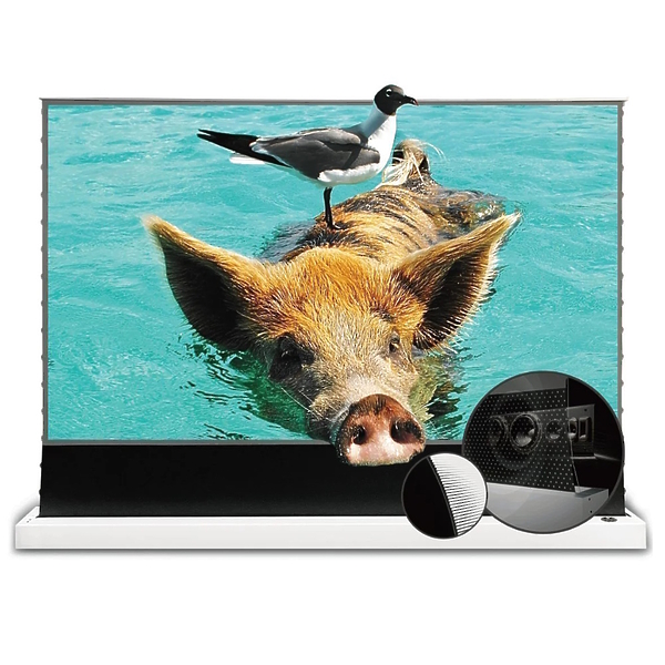 Напольный корпусный ALR-экран VividStorm S-Pro-P-White-110 артикул 318122Si-1
