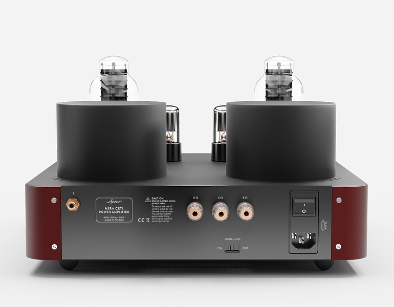 Монофонический усилитель мощности Fezz Audio Mira Ceti 300b Power Amplifier EVO Big Calm артикул 332491Si-1 фото 5