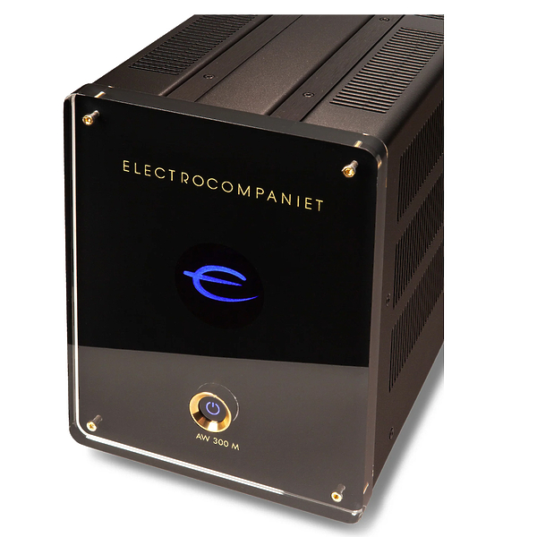 Усилитель мощности Electrocompaniet AW 300М артикул 317803Si-1 фото 4