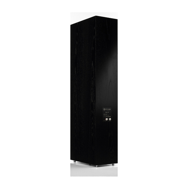 Напольная акустика PYLON AUDIO Ruby 30 Natural Veneer OAK, Lacquer Black артикул 308390Si-1 фото 3