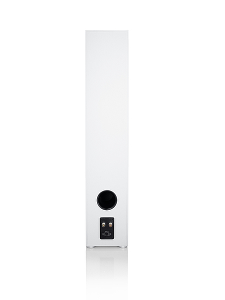 Комплект домашнего кинотеатра Canton Smart Cinema GLE I.20 white артикул 296399Si-1 фото 15